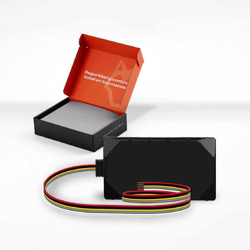 GPS + Servicio de Seguridad en tiempo real